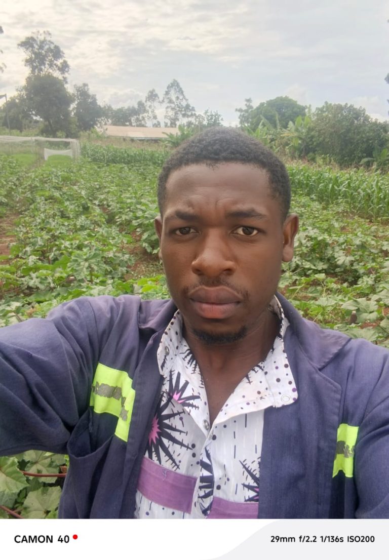 Biofertilisants, biopesticides et gombo à Baham : vers une agriculture plus durable et rentable